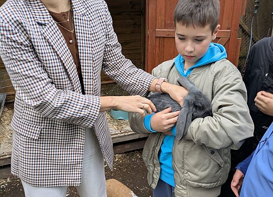 mama Poli daje Frankowi królika
