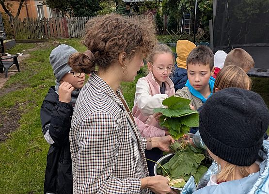 pokarm dla kóz i królików