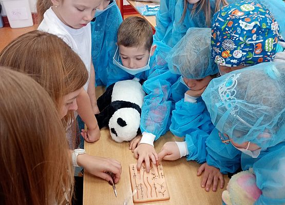 Grafika 12: Zajęcia weterynaryjne w klasie 1b