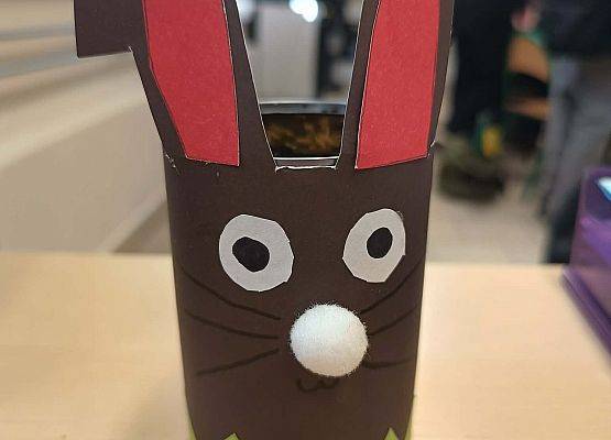 brązowy zając z białym nosem