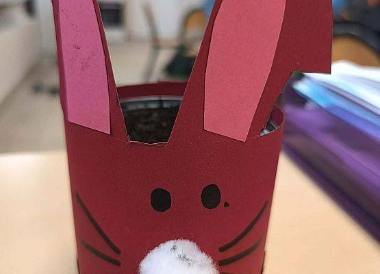 brązowy zając z nosem