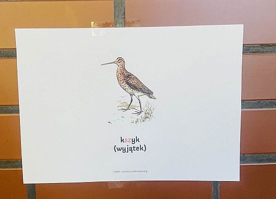 Ilustracja ptaka w przestrzeni szkolnej