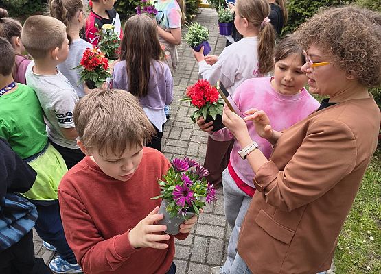 dzieci oglądają kwiatki i poznają ich nazwy