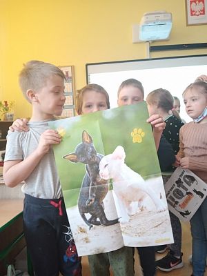  Grafika #1: Dzień kota w I a