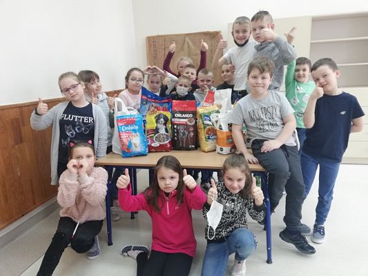  Grafika #0: Walentynkowa zbiórka karmy dla zwierząt