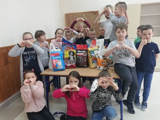  Grafika #4: Walentynkowa zbiórka karmy dla zwierząt