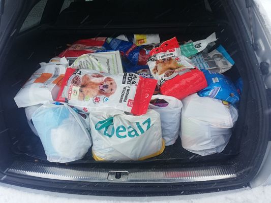  Grafika #5: Walentynkowa zbiórka karmy dla zwierząt