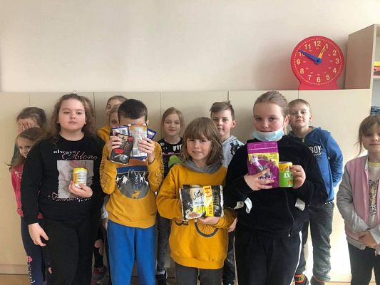  Grafika #8: Walentynkowa zbiórka karmy dla zwierząt