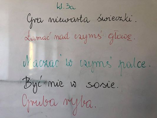  Grafika #6: Międzynarodowy Dzień Języka Ojczystego