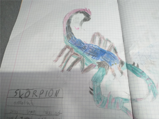  Grafika #0: Pasje naszych uczniów