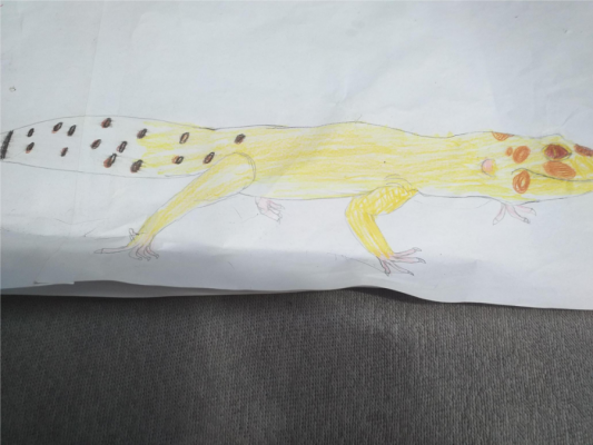  Grafika #1: Pasje naszych uczniów