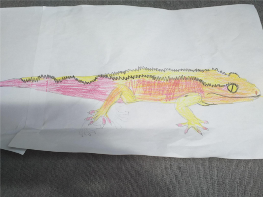  Grafika #4: Pasje naszych uczniów