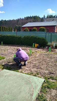  Grafika #4: Międzynarodowy Dzień Ziemi.