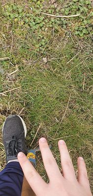  Grafika #6: Międzynarodowy Dzień Ziemi.