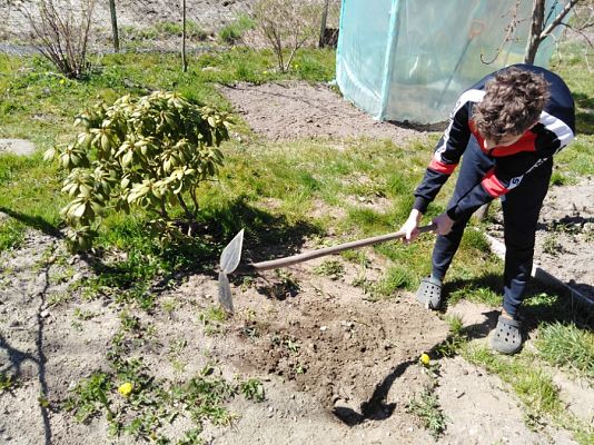  Grafika #8: Międzynarodowy Dzień Ziemi.