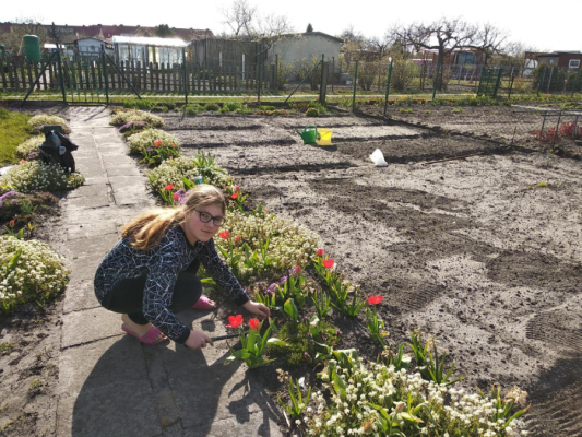  Grafika #18: Międzynarodowy Dzień Ziemi.