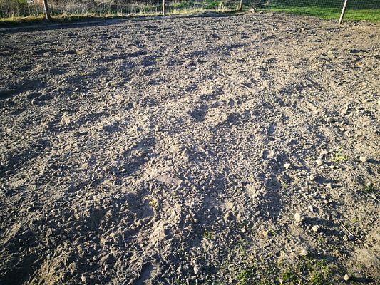  Grafika #3: Nasz ogrodowy recykling!!!