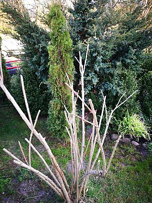  Grafika #1: Nasz ogrodowy recykling!!!