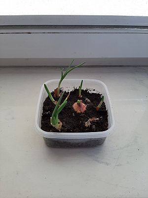  Grafika #6: Klasa O a w zdalnym nauczaniu