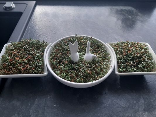  Grafika #8: Klasa O a w zdalnym nauczaniu