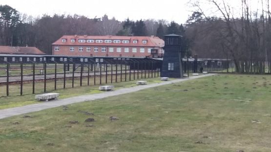  Grafika #9: Muzeum Stutthof