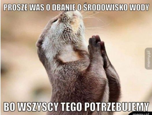  Grafika #5: Tydzień edukacji globalnej