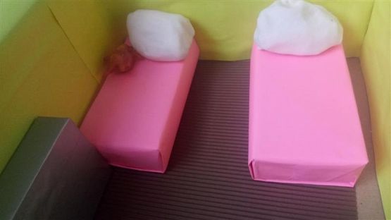  Grafika #19: Projekt pokoju 3d