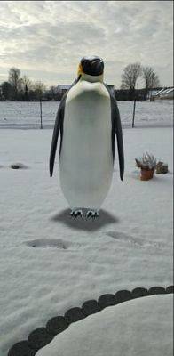  Grafika #5: Światowy Dzień Wiedzy o Pingwinach