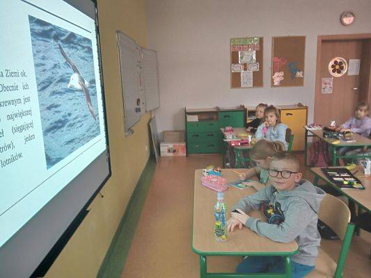  Grafika #13: Światowy Dzień Wiedzy o Pingwinach