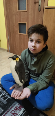  Grafika #9: Światowy Dzień Wiedzy o Pingwinach