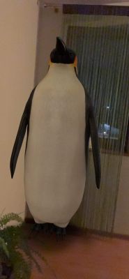  Grafika #10: Światowy Dzień Wiedzy o Pingwinach