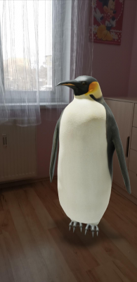  Grafika #7: Światowy Dzień Wiedzy o Pingwinach