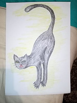  Grafika #21: Dzień Czarnego Kota