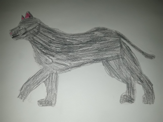  Grafika #5: Dzień Czarnego Kota