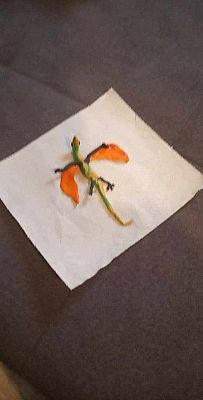  Grafika #3: Dinozaury w oczach pierwszaków