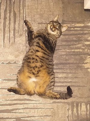  Grafika #1: Wyniki IV Gminnego Konkursu fotograficzno-literackiego