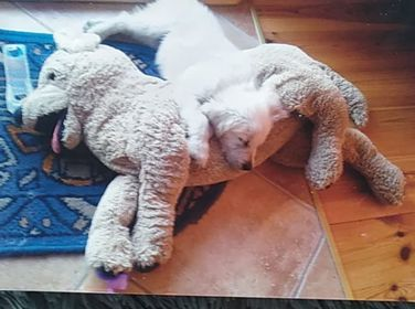  Grafika #3: Wyniki IV Gminnego Konkursu fotograficzno-literackiego