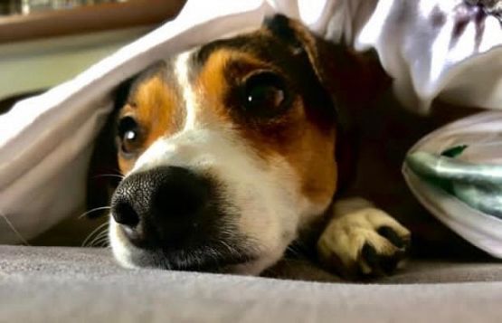  Grafika #0: Wyniki IV Gminnego Konkursu fotograficzno-literackiego