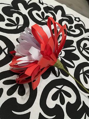  Grafika #9: Kokarda na Święto Niepodległości