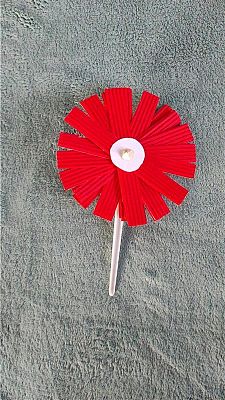  Grafika #26: Kokarda na Święto Niepodległości