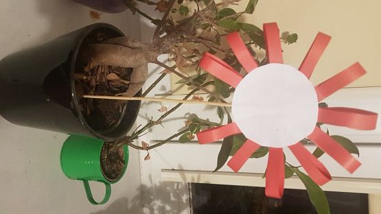  Grafika #24: Kokarda na Święto Niepodległości