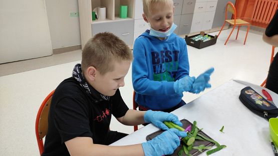  Grafika #7: Śniadanie nie musi być nudne