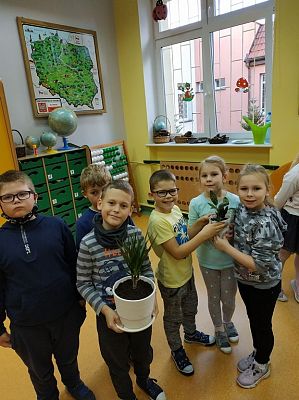  Grafika #9: Dzień Drzewa, czyli realizacja programu "Czytam z klasą lekturki spod chmurki" przez pierwszaków