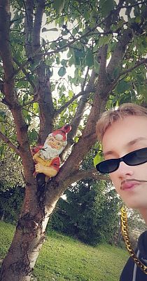  Grafika #8: Dzień Drzewa