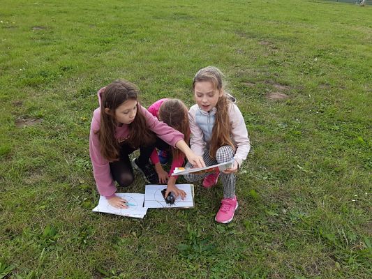  Grafika #11: PRZYRODA W TERENIE- JAK POSŁUGIWAĆ SIĘ KOMPASEM.