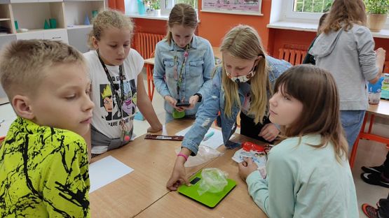  Grafika #17: "Ile cukru jest w słodyczach?"- warsztaty