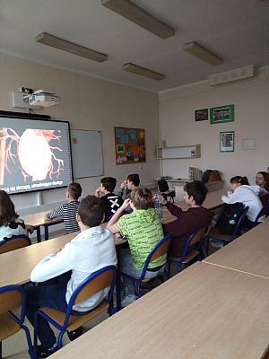  Grafika #2: Warsztaty profilaktyczne!