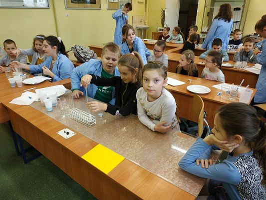  Grafika #5: Doświadczenia w 3 A