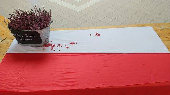  Grafika #35: II Powiatowy Konkurs Recytatorski Polskiej Poezji Patriotycznej