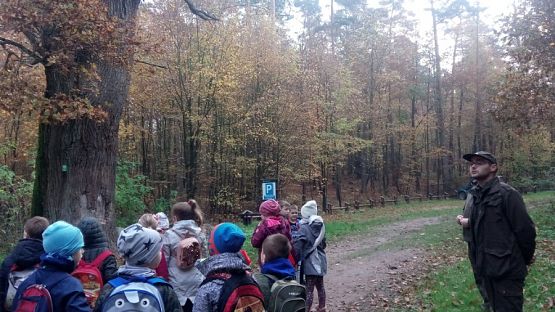  Grafika #1: Ścieżka przyrodniczo-edukacyjna  Dąb Świętopełk